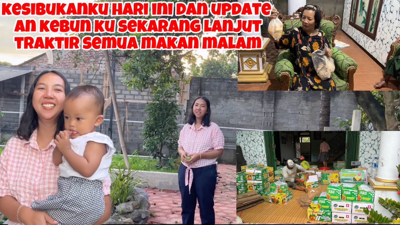 KESIBUKANKU HARI INI DAN BEGINI UPDATE AN KEBUNKU SEKARANG LANJUT TRAKTIR SEMUA MAKAN MALAM