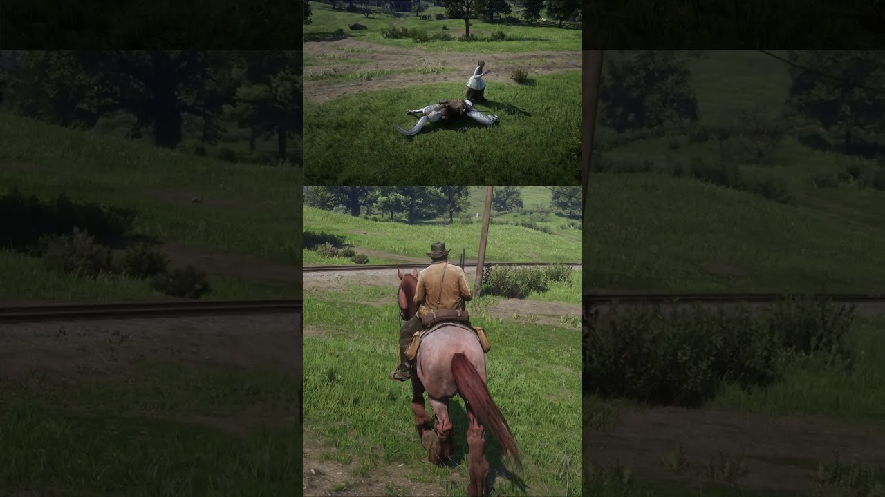 How To Get The Missouri Fox Trotter Silver Dapple Pinto As Arthur! 