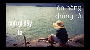 Thử điểm câu mới ở gần đập thủy điện câu cá rô phi.(câu đài)