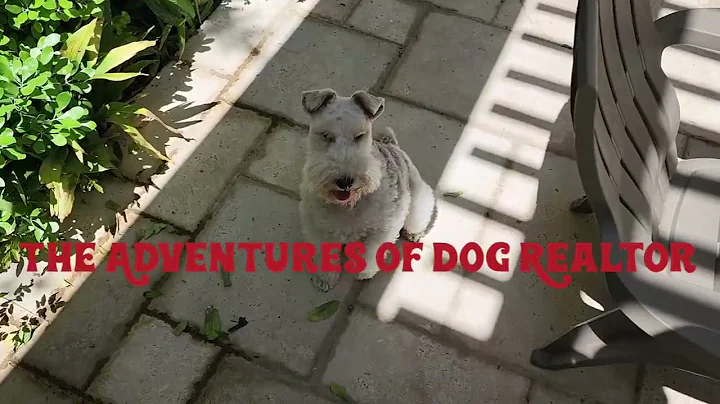 Dog_Realtor. Sold. 100% Dog Friendly Palisades Lux...