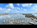 殷正洋 生生世世都在菩提中 殷正洋 生生世世都在菩提中