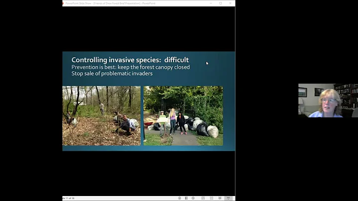 Dr. Sara Webb: A Forest Ecologist's Perspective