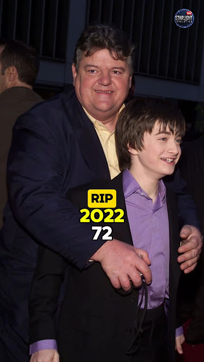 Harry Potter: The Last Great Nostalgia Trip