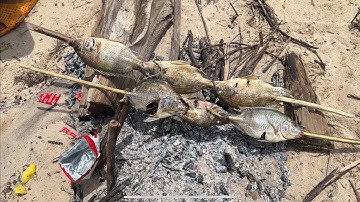 Lần Đầu Tiên Đi câu Cá Tại Đập Thuỷ Điện Krông Năng | Minh Yên entertainment #fishing #vlog