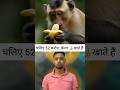 52 करोड़ /cr मैं एक केला खरीदा ! #damanydv #currency #bitcoin #information #firstshortvideo #monkey