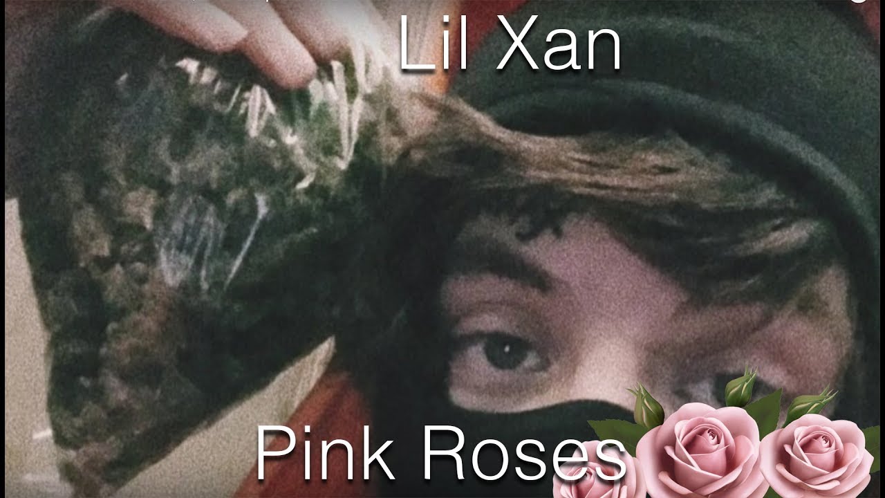 Lil Xan Pink Roses Sub. Español YouTube Music