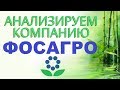 Анализ компании Фосагро. Финансовая отчётность. Перспективы.