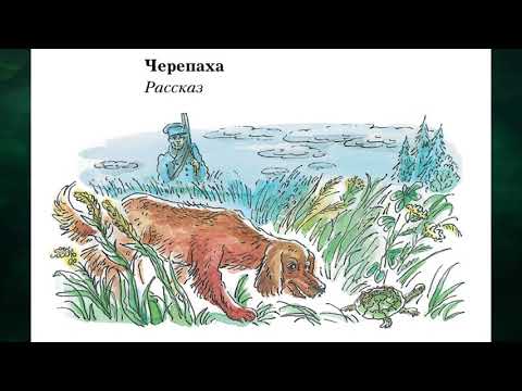 Л. Толстой "Черепаха"