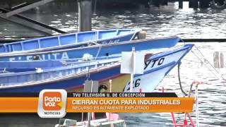 Pescadores artesanales del Biobío retoman captura de la jibia