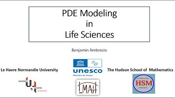 PDE modeling in life sciences. Lecture 5
