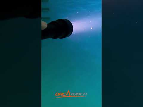 The Best Underwater