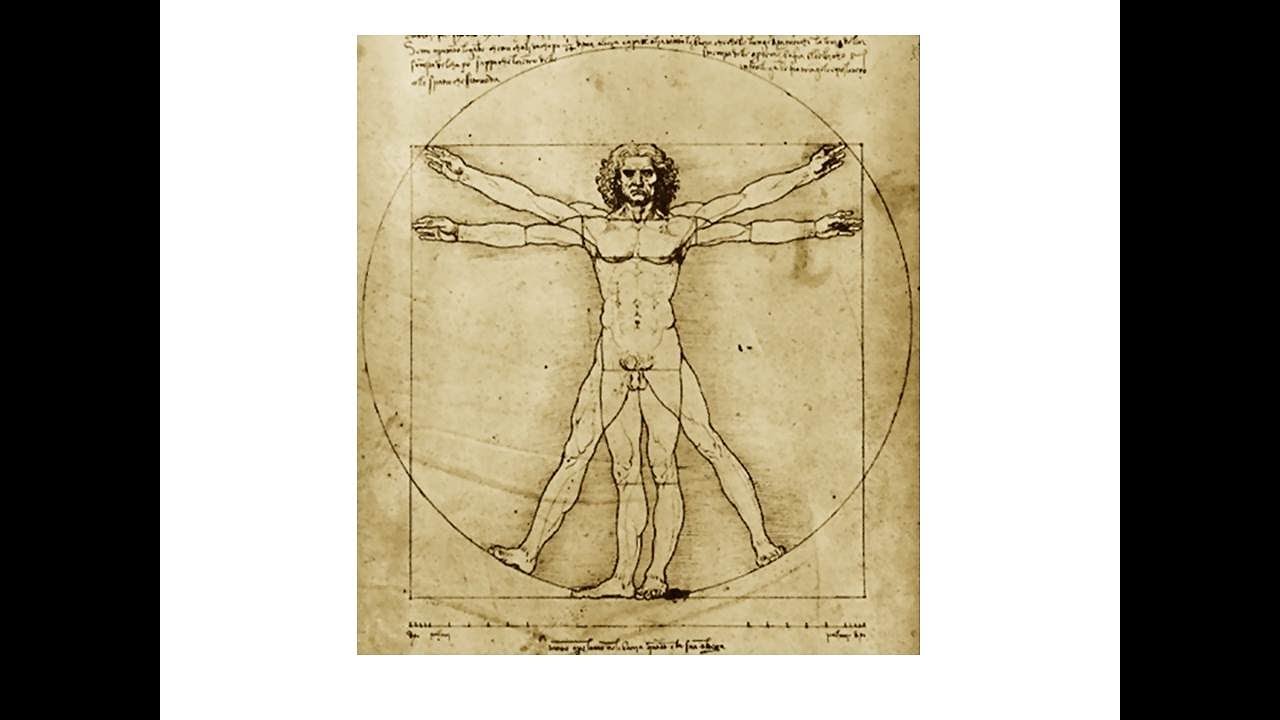 Леонардо да винчи трение. Humanista.