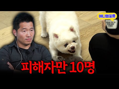 입질 피해자만 10명! 강아지 때문에 이혼 위기에 처한 보호자?..ㅣKBS 개는 훌륭하다 230508 방송