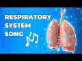 Respiratory System and Mitosis Quiz