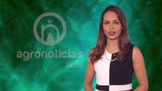 TITULARES AGRONOTICIAS sie7e PROGRAMA 56