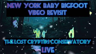 New York Baby Bigfoot Video Revisit Live: The Lost Cryptids Conservatory