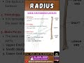 How to Identify Radius Bone Side?