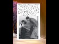 Who will like history | #history #Facts #shortsVideo #viralshorts