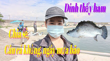 Chia sẻ Câu cá khủng, dính thấy ham，釣黑鯛魚很好玩#fishingvideo #taiwan  #LNGB#