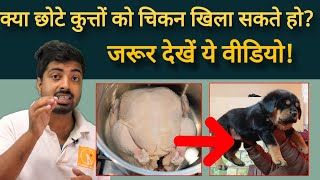 क्या छोटे कुत्ते को चिकन खिला सकते हैं? by Pomtoy Anurag 3,341 views 1 month ago 5 minutes, 18 seconds