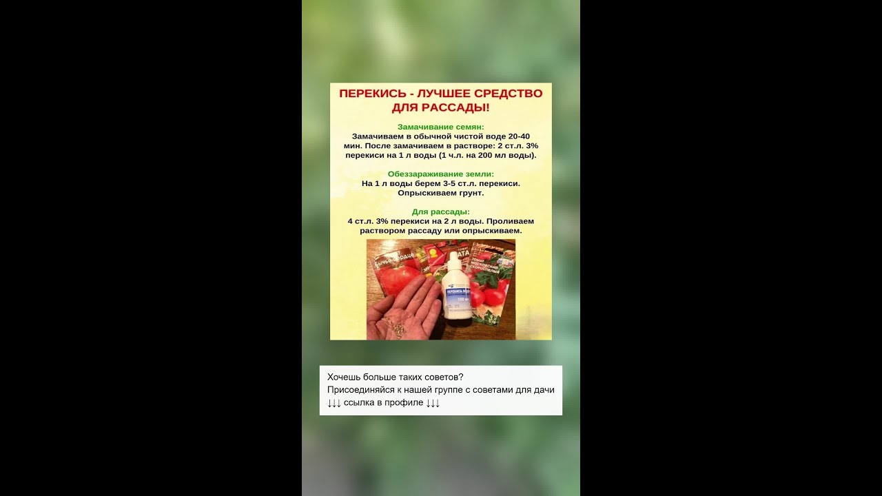 Универсальное средство для вашей рассады