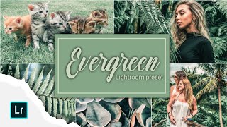 Free preset Lightroom Mobile DNG | EVERGREEN screenshot 4