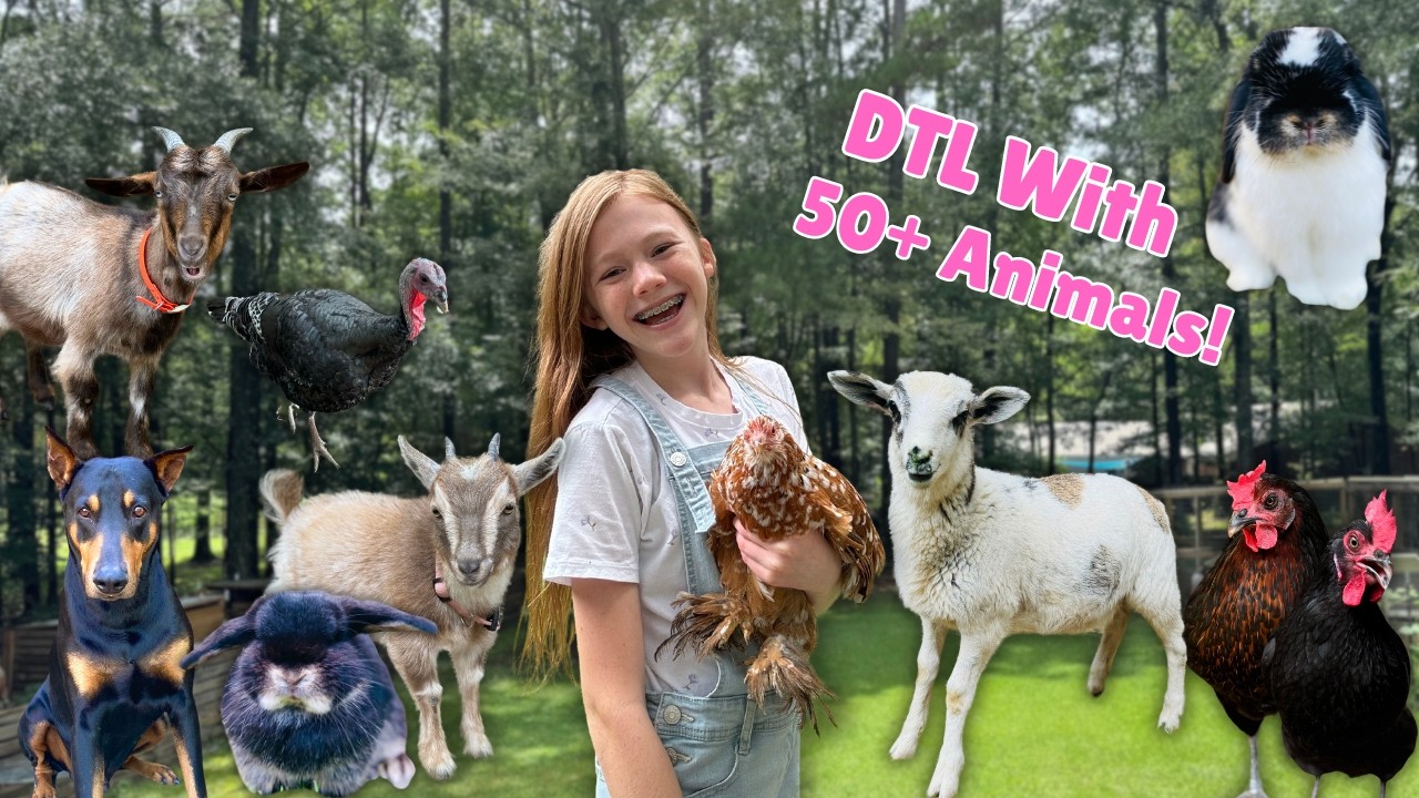 DAY in the LIFE as a TEENAGE FARM GIRL with 50+ FARM ANIMALS! - YouTube