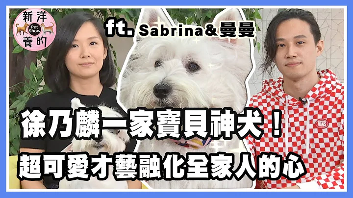 徐乃麟淚崩嫁女兒，Sabrina帶一家人的寶貝神犬曝光！超可愛才藝融化全家人的心【新洋養的】 - 天天要聞