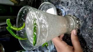 cocktail video