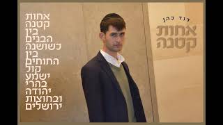 דוד כהן - אחות קטנה | קאבר | david cohen - achot ktana