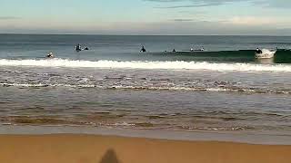 Download Lagu Surflariak Zurriolan MP3