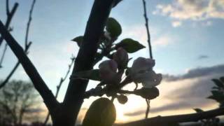 Progetto Paluroma Fotoarte Aprile2010