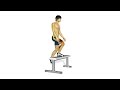 美脚脚の運動: Step Ups