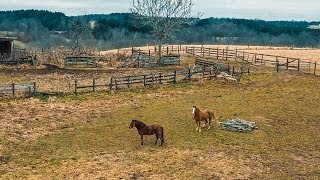 Animals Vs Drones. Day 5 With The Dji Mavic Pro.