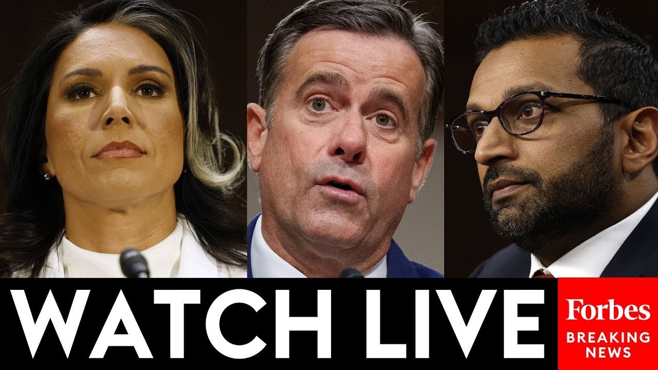LIVE: Tulsi Gabbard, Kash Patel, John Ratcliffe Testify Before House After Shock Leak Of War Plans