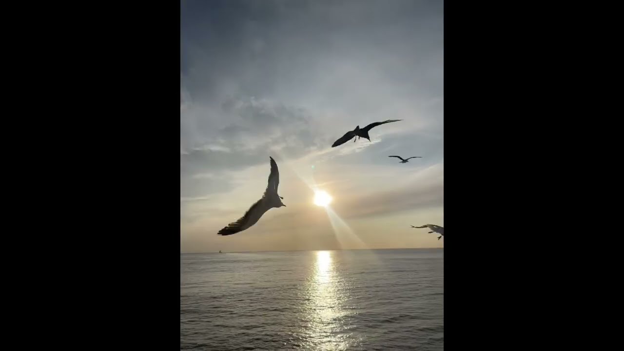 Baril - Sunshine auf YouTube ansehen Baril - Sunshine auf YouTube ansehen