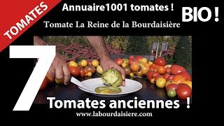 Surprise ? 7 Tomates surprenantes et insolites.Nature et Bio.Video 2.Hurryken Production