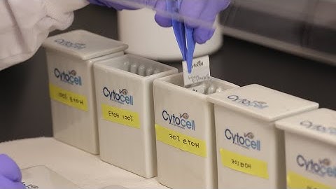 Using the FFPE Pretreatment Kit - Step 2. Re-hydration