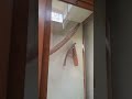 محراث الأرض من حياة المزارع المصري القديم 