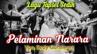Pelaminan Narara II Dedy Gunawan II Video Cover