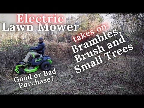 using an Electric Lawn Mower to mow down Brambles, Brush and Small trees?