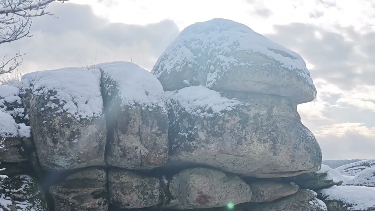 "Nieve y silencio en el bosque de la sierra de Madrid "❄️🌲