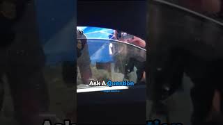 Border Patrol Gets Schooled at the Checkpoint