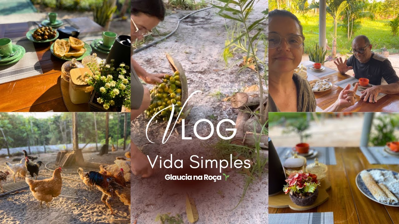 Quem ama vida simples vai se identificar com esse dia 🌾 Vida simples, calma e feliz 🤍