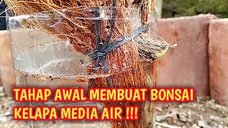 CARA MEMBUAT BONSAI KELAPA MEDIA AIR DENGAN MUDAH !!! || Wayan Darmawan CARA MEMBUAT BONSAI KELAPA MEDIA AIR DENGAN MUDAH !!! || Wayan Darmawan