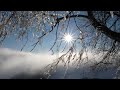 "Apricity” – Eurorack Modular “Evolving Drone” Ambient - [Ft.Stardust, Subharmonicon,Mininova,Opsix]