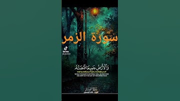 سورة الزمر #quran #اكسبلور #دويتو #دعاء #حالات_واتس #دعاءمستجاب #تيك_توك #فولو #لايك #اسلاميات