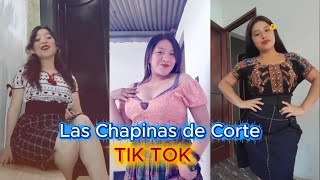 Las hermosas chapinas de Tiktok 2025 / las mas bellas de Guatemala Las hermosas chapinas de Tiktok 2025 / las mas bellas de Guatemala