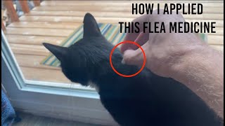 ★★★★★ Cat Flea Medicine Application How To & Tutorial  Advantage II Protection Large Cats