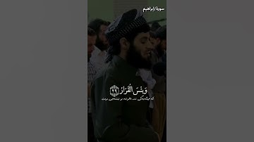 القارئ رعد الكردي (جهنم يصلون فيها) تلاوه خاشعه 💜🦋